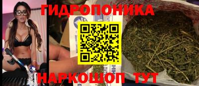 крисы Краснодар
