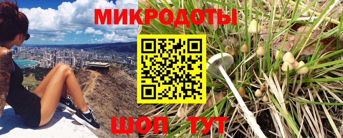 Галлюциногенные грибы Psilocybe Липецк