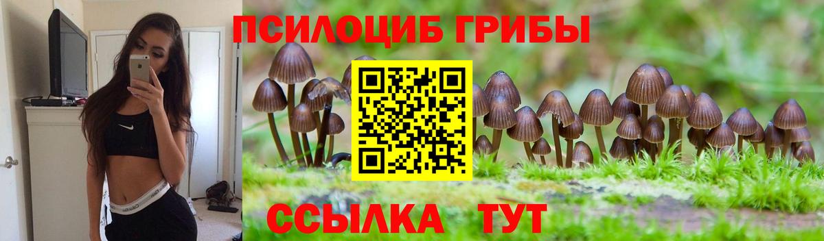 Псилоцибиновые грибы мицелий  Вход с VPN  Липецк 